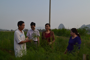 Cán bộ Ban dân vận huyện Kim Bôi thăm mô hình chuyển đổi cơ cấu cây trồng tại xã Nam Thượng (Kim Bôi ).